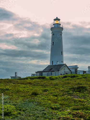 Seal Point Lighthouse at Cape St Francis South Africa © Arnold