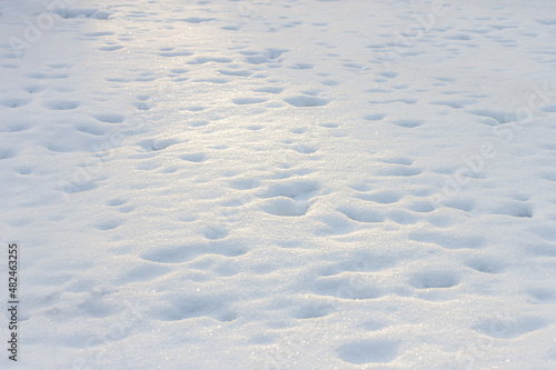 Snow. The texture of white snow. Background image.