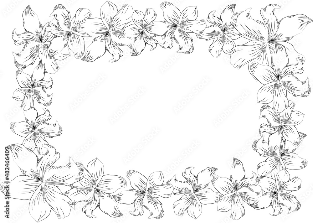 Frame with decorative vector lilies, frame of flowers, frame vector Frame with decorative vector lilies, frame of flowers, frame vector