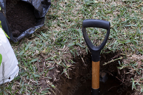 A shovel stuck in a hole. Ready to plant a tree. Reforest concept.