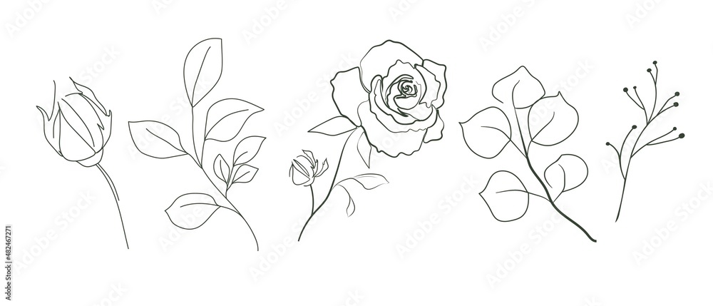 A set drawn in one line with flowers, buds and leaves on the branches. One line.  Contour drawing of roses and foliage isolated on a white background. Vector design