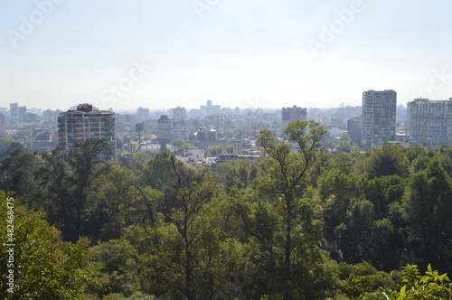 Árvores com cidade do México ao fundo