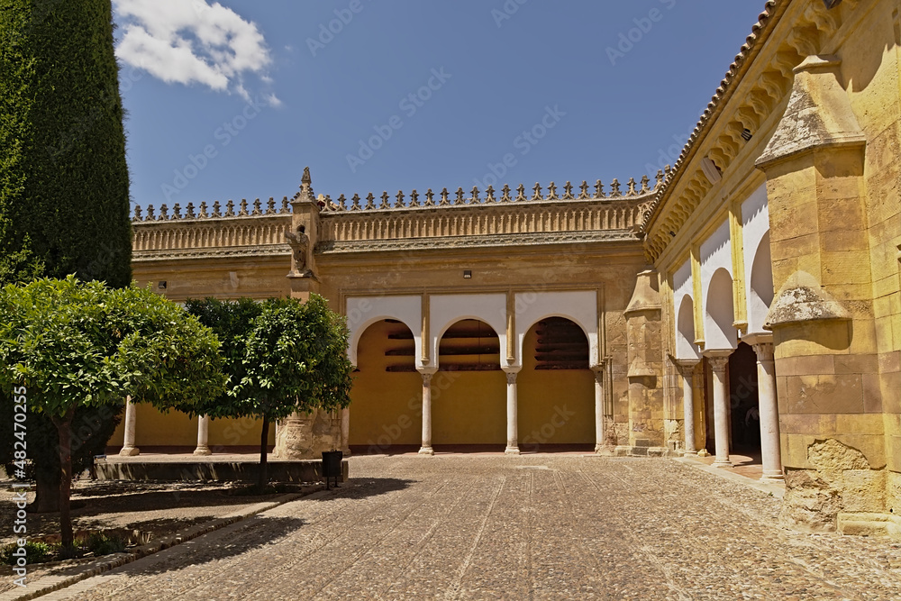 Patio with orange trees of the mosque cathedral of Cordoba