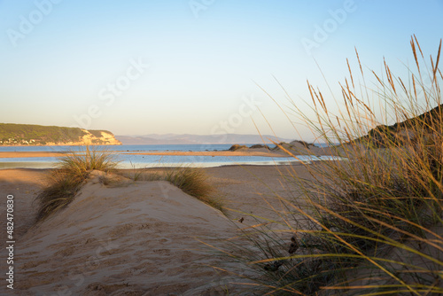 Sand dunes on the beach at cape Trafalgar at sunset, Canos de Meca, Cadiz, Andalusia, Spain