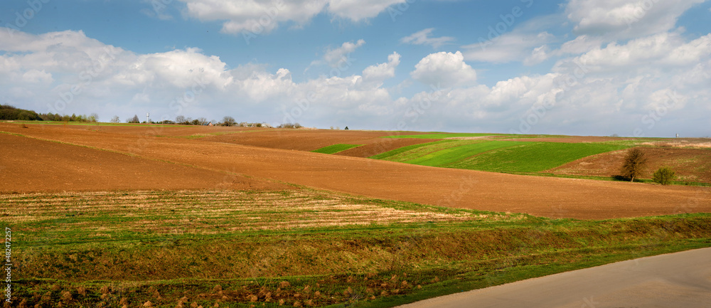 spring areas of arable fields and winter wheat, lines and hills. The concept of agriculture, the beginning of field work