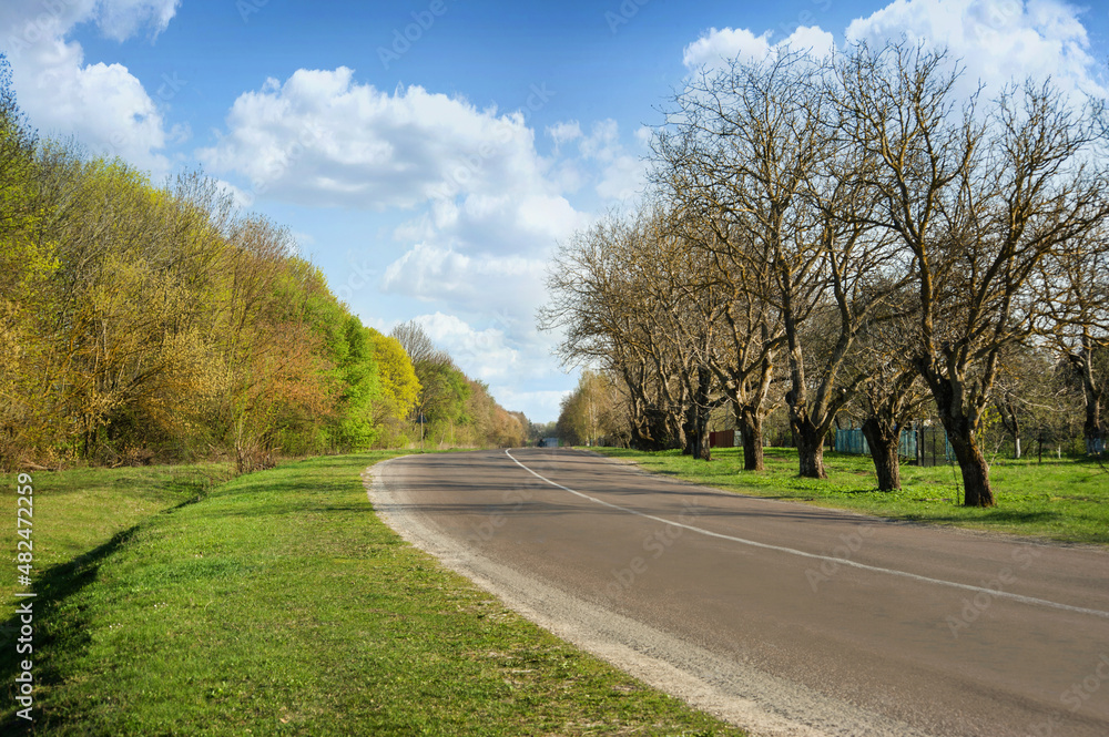 asphalt road in countryside on sunny spring day