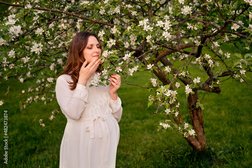 Pregnant woman with apple tree flowers in spring nature. Happiness of pregnancy in blooming nature at sunset