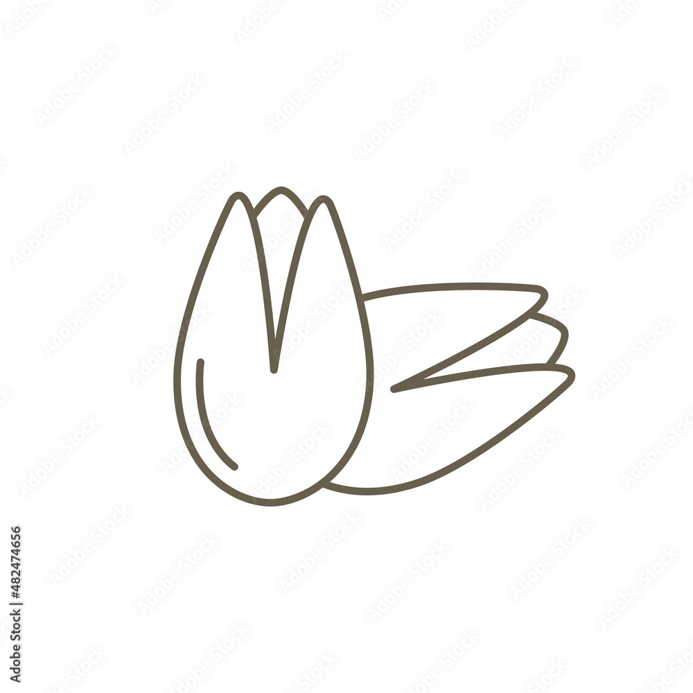 Pistachio line icon. Vector isolated outline illustration Pistachio line icon. Vector isolated outline illustration