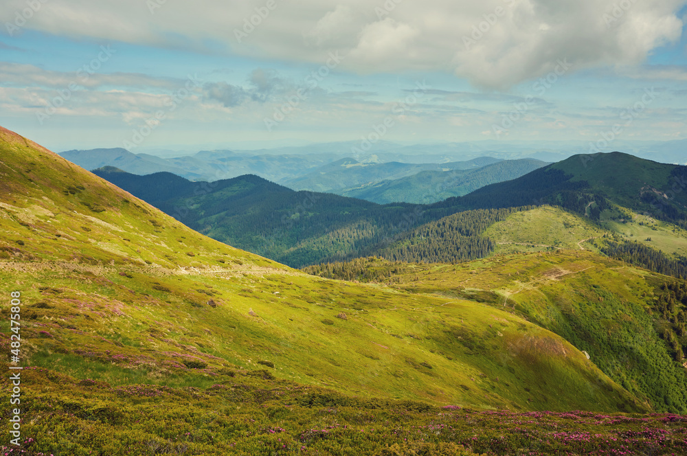 Idyllic landscape in the Alps with fresh green meadows and blooming flowers Idyllic landscape in the Alps with fresh green meadows and blooming flowers