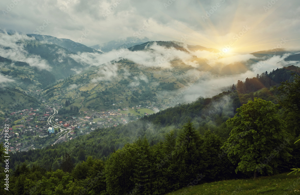 Fototapeta premium landscape in the Alps with fresh green meadows and blooming flowers and snow-capped mountain tops in the background