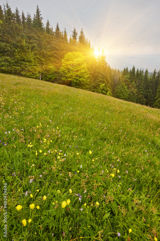 Obraz premium springtime in the alps