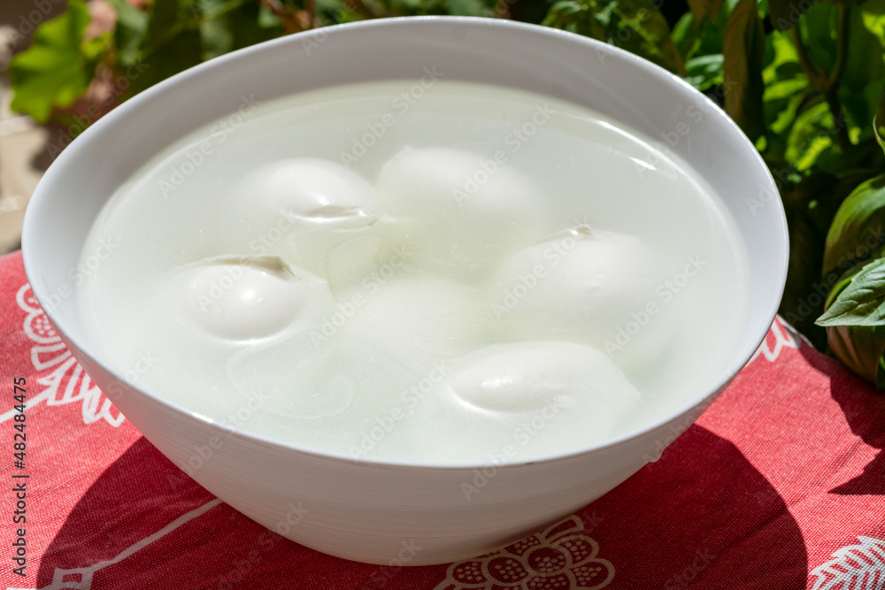 Cheese collection, white balls of Italian soft cheese mozzarella di bufala campana floating is water Cheese collection, white balls of Italian soft cheese mozzarella di bufala campana floating is water