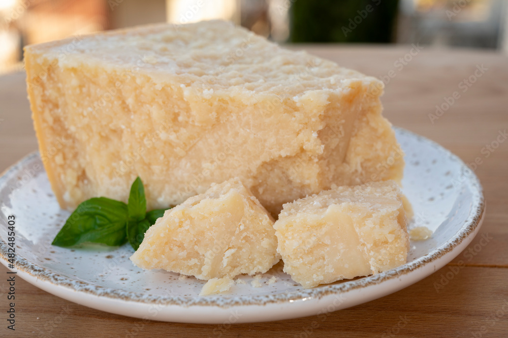 Cheese collection, piece of matured cow cheese pasmesan parmigiano reggiano made from cow milk