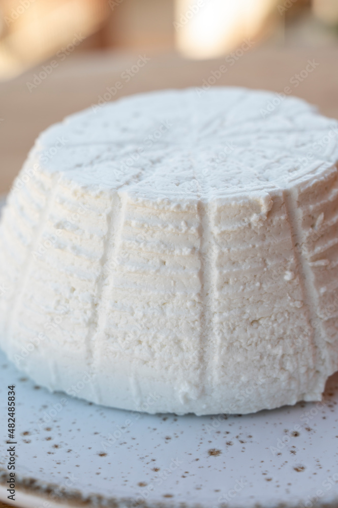 Cheese collection, white Italian soft cheese ricotta Cheese collection, white Italian soft cheese ricotta