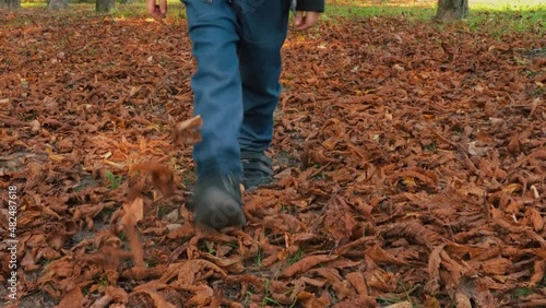 Stylish little boy walks through an autumn park and kicks dry leaves