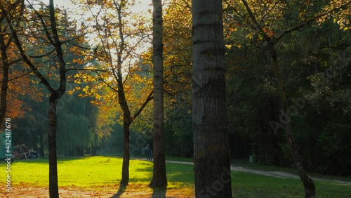 Father and kid walking in the park and enjoying autumn nature. Beautiful sunlight.