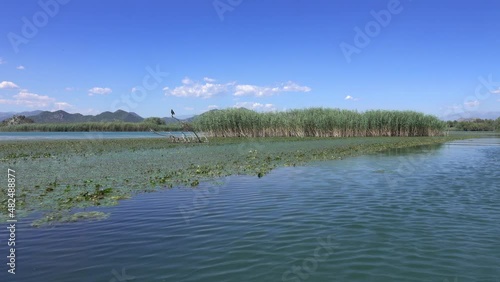 View from moving boat on the famous Lake Skadar in Montenegro, 4k photo