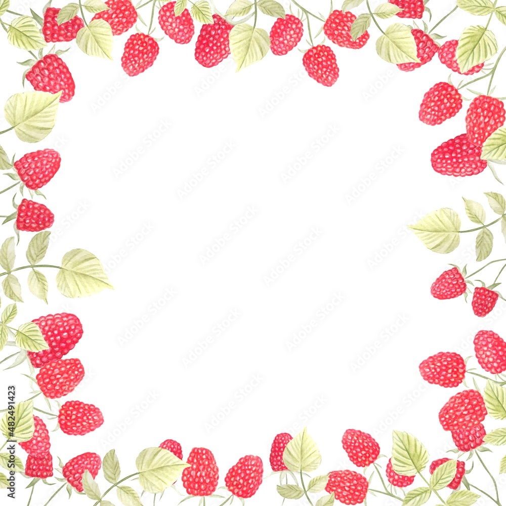 Summer frame made of raspberries and leaves.Hand-drawn watercolor illustration. Summer frame made of raspberries and leaves.Hand-drawn watercolor illustration.