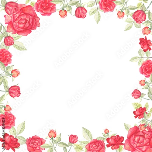 Wreath, frame, border.Summer frame of light red roses and leaves.Hand-drawn watercolor illustration.