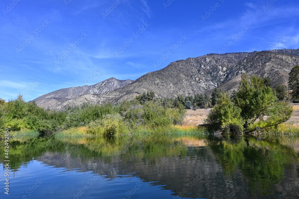 Fototapeta premium Red-Wing Pond at the Wildlands Conservancy Oak Glen Preserve in the foothills of the San Bernardino Mountains.