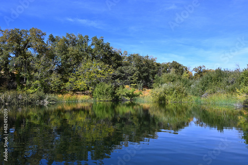 Fototapeta Naklejka Na Ścianę i Meble -  Red-Wing Pond at the Wildlands Conservancy Oak Glen Preserve in the foothills of the San Bernardino Mountains.