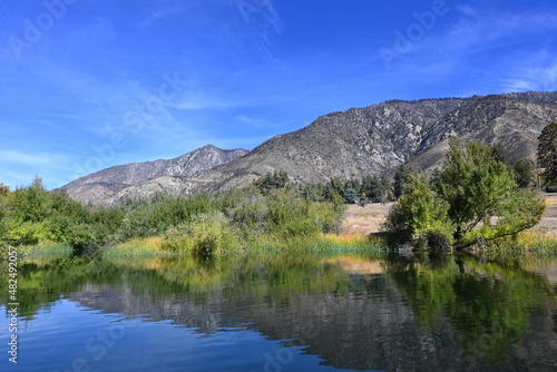 Red-Wing Pond at the Wildlands Conservancy Oak Glen Preserve in the foothills of the San Bernardino Mountains.
