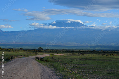 View of the Kilimanjaro in Amboseli NAtional PArk  Kenya  Africa