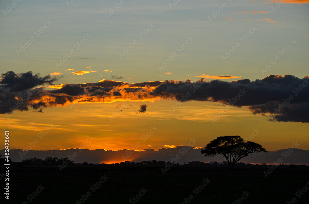 Sunset in the savannah, Amboseli, Kenya, Africa