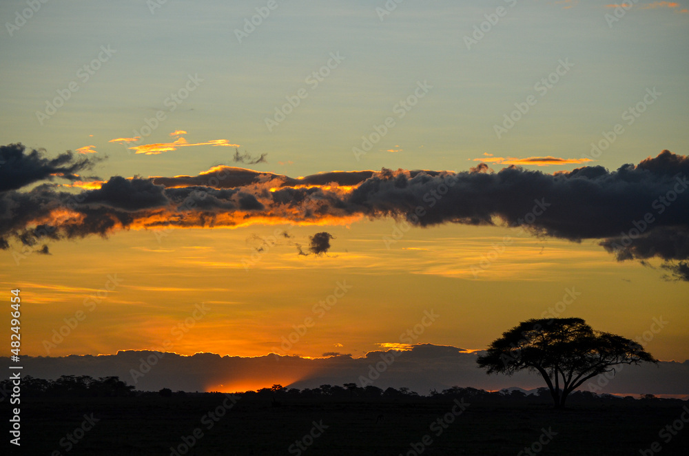 Sunset in the savannah, Amboseli, Kenya, Africa Sunset in the savannah, Amboseli, Kenya, Africa