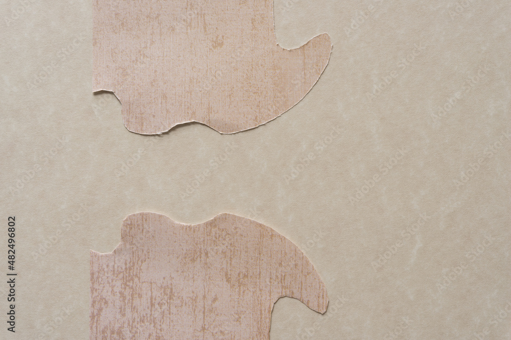two abstract paper shapes on parchment like paper two abstract paper shapes on parchment like paper