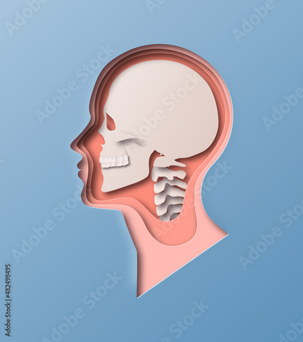 Paper cut man head illustration on isolated background. Human skull x-ray side view profile with 3D papercut layer for educational anatomy model, science or nervous system concept. 