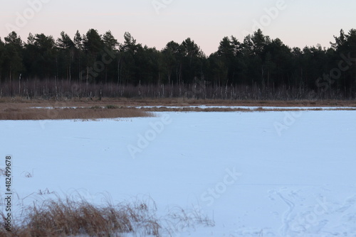 Rezerwat przyrody Dębina - Wilcze Bagno