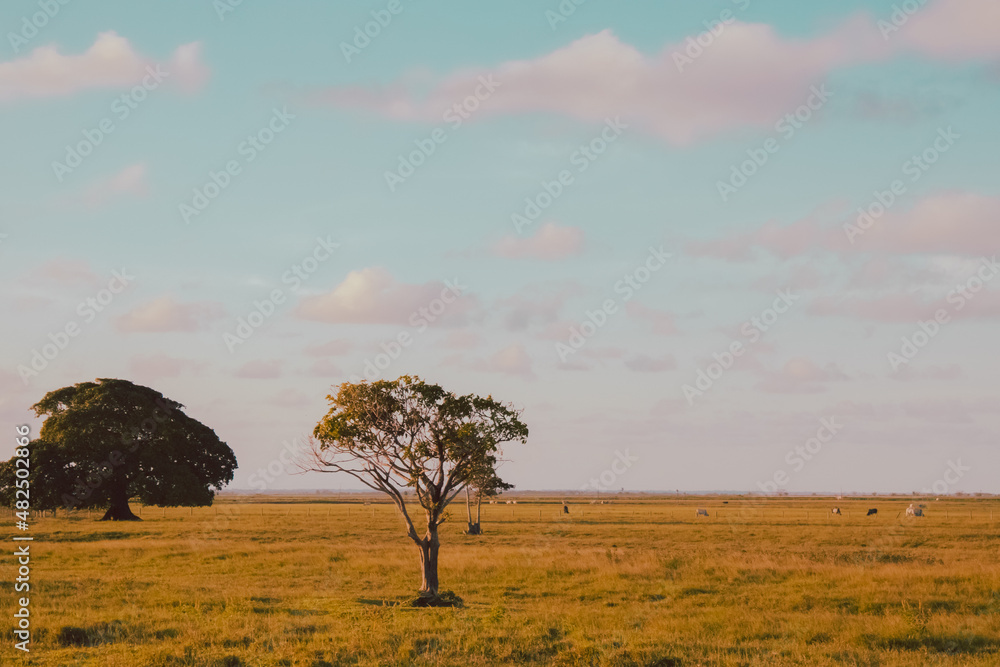 Paisagem de fazenda em lindo dia de sol Paisagem de fazenda em lindo dia de sol
