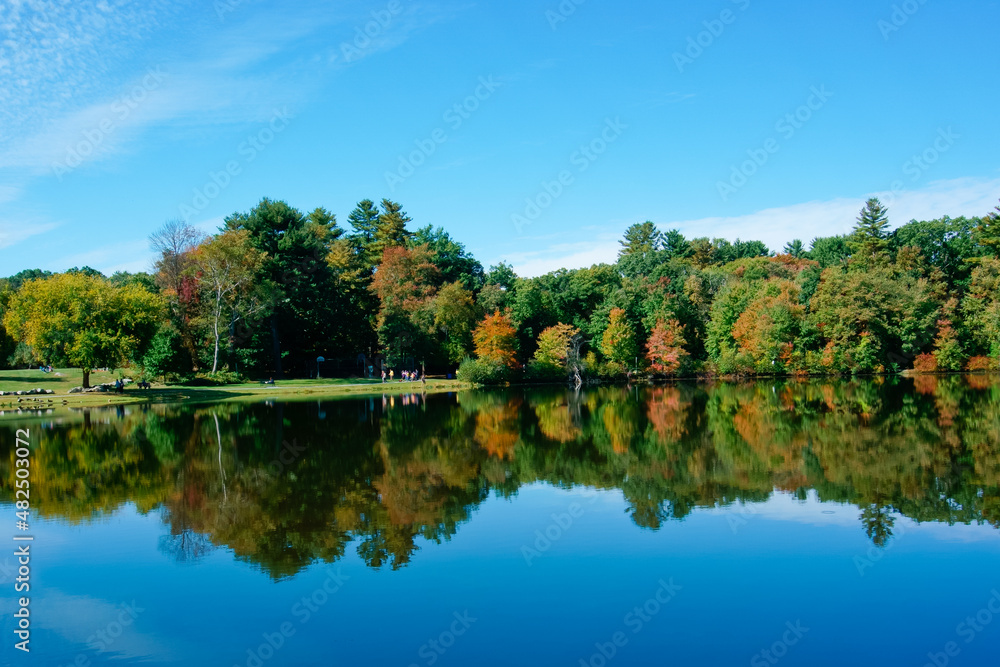Scenic lake and reflection in Choate Park MA USA