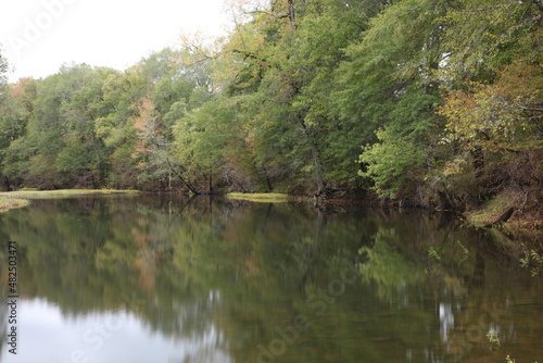 Creek Reflection 3