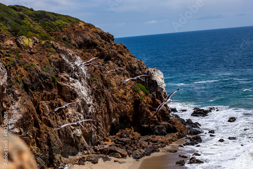 beach along the califorina coastline  photo