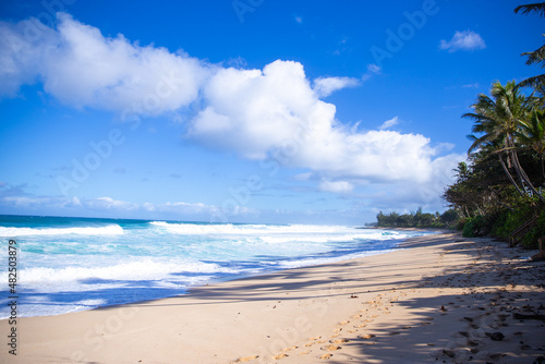 beach scene in hawaii on a beautiful day