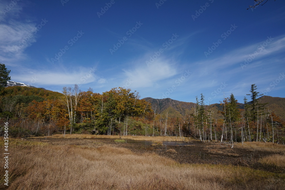 Fototapeta premium 紅葉シーズンを迎えた木々と池