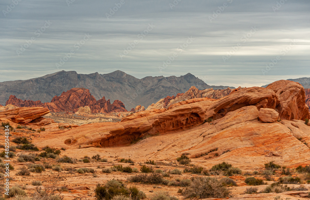 Overton, Nevada, USA - February 24, 2010: Valley of Fire. Wide landscape of red rock outcrops under heavy gray cloudscape. Dark mountain range on horizon and dry desert floor up front with greenish bu