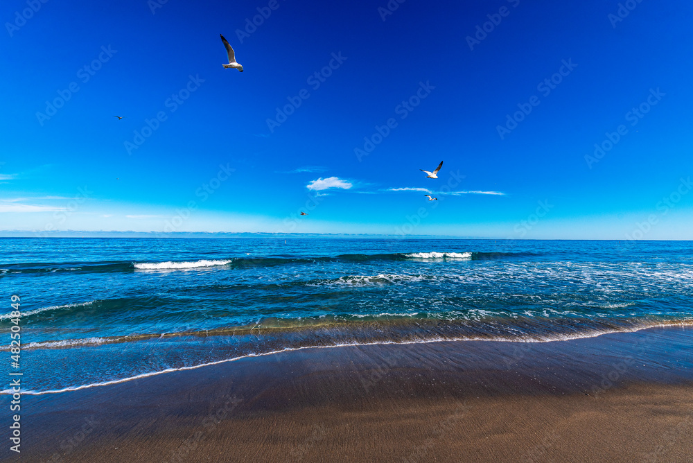 seagulls flying over ocean with waves crashing on beach 