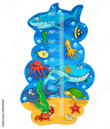 Kids height chart, cartoon sea animals growth meter. Vector measure scale ruler ith cute whale, fishes and octopus, turtle, squid and crab or shell with starfish. Wall sticker child height measurement