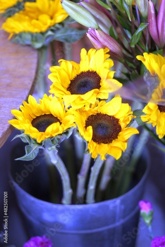Flowers