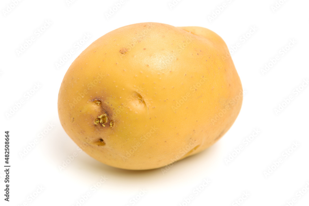 New potato isolated on white background New potato isolated on white background