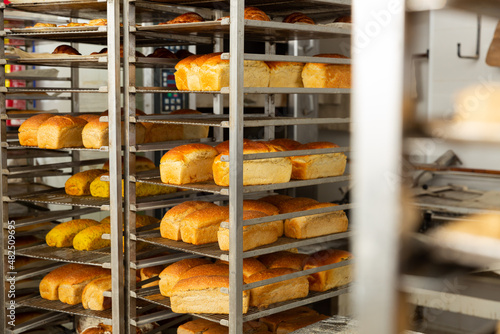 Freshly baked bread, loaves and rolls on tray rack trolley in bakery workshop