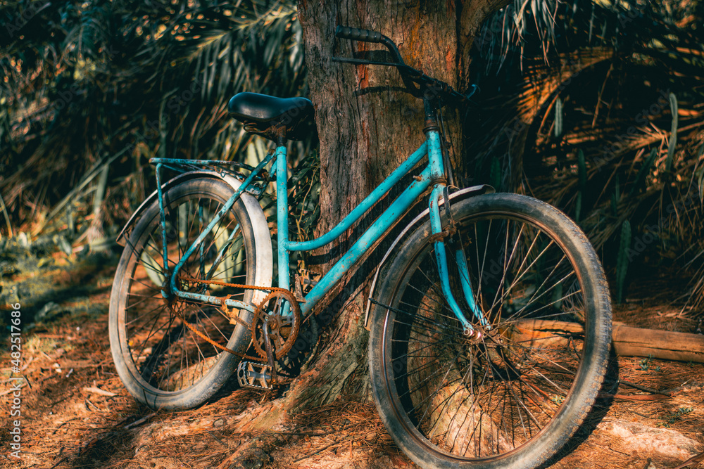 old bicycle on the road