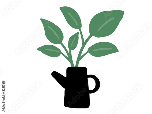 かわいいボタニカル観葉植物／手描きイラスト