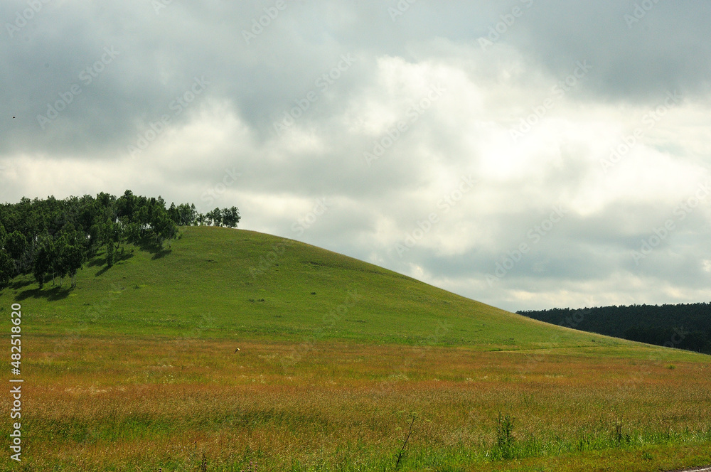 A high hill with trees on a slope in the endless steppe with thunderclouds above it.