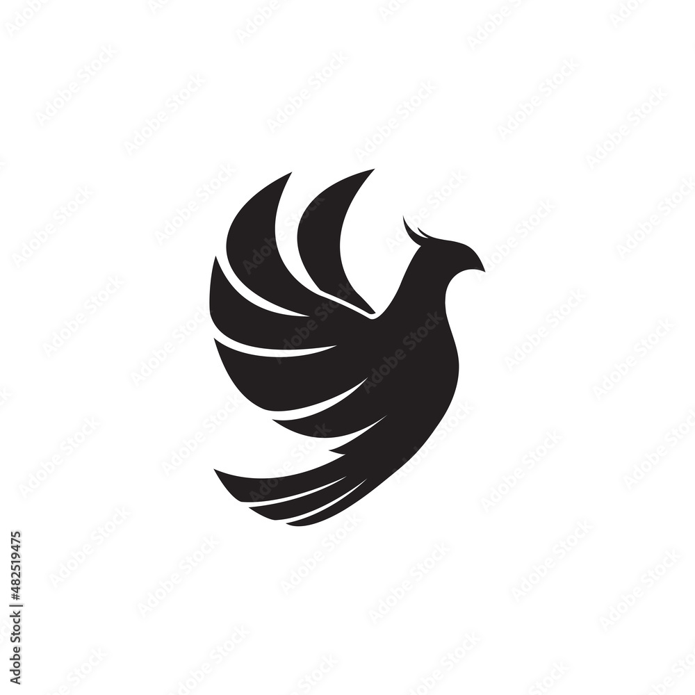 Fototapeta premium silhouette dove bird in flight on a white background