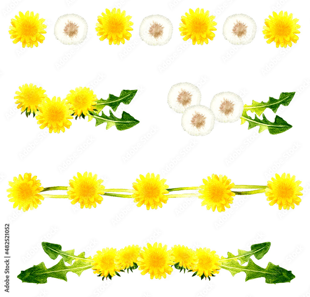 タンポポの飾り罫 装飾セット 春の花の背景素材集 かわいい手描き水彩イラスト素材 Stock Illustration Adobe Stock