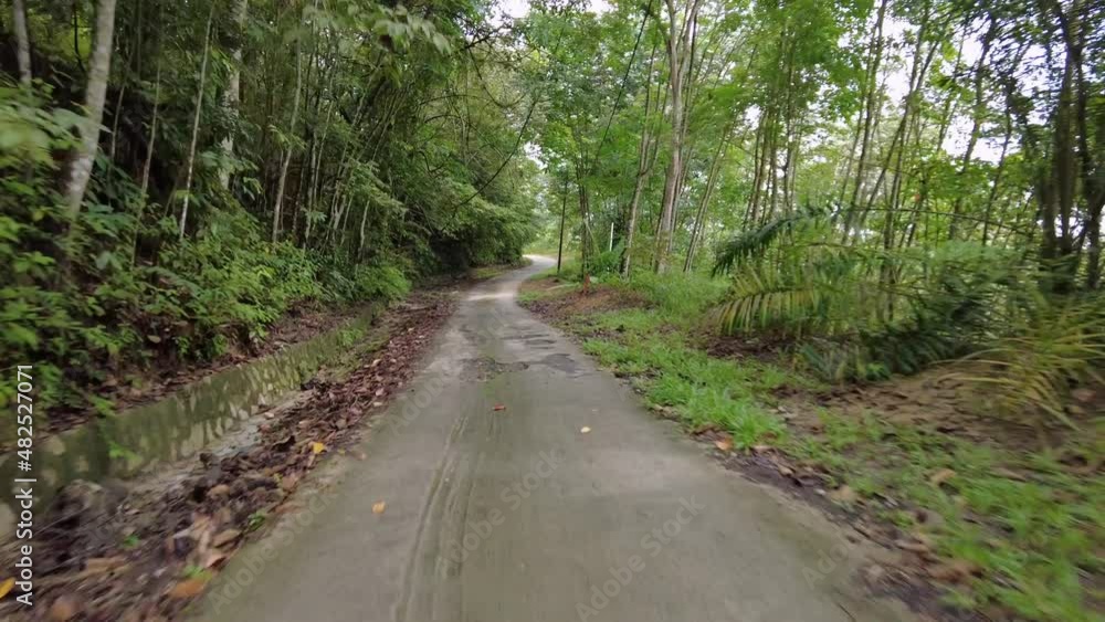Ride down the asphalt road in the jungle of Malaysia Ride down the asphalt road in the jungle of Malaysia
